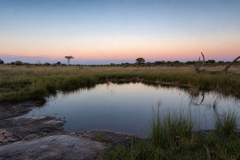 Waterhole at dusk